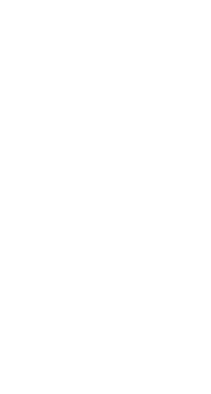 Special Situations Logo